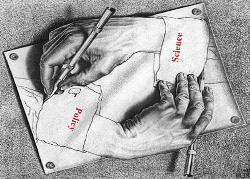 Policy & Advice
