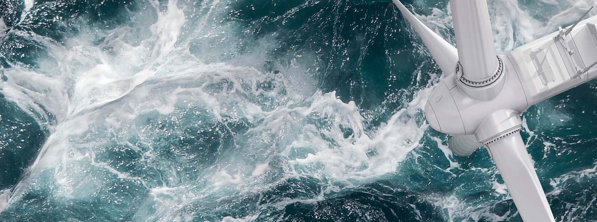 New Report Finds Nantucket Wind Projects’ Impact on Right Whale Ecosystems Hard to Separate from Climate Change and Other Factors