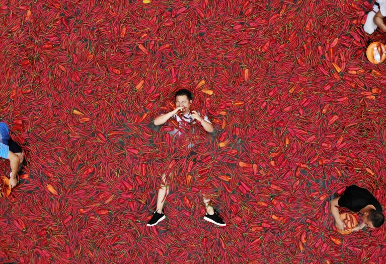Synthetic tongue rates chillies’ heat — and spares human tasters